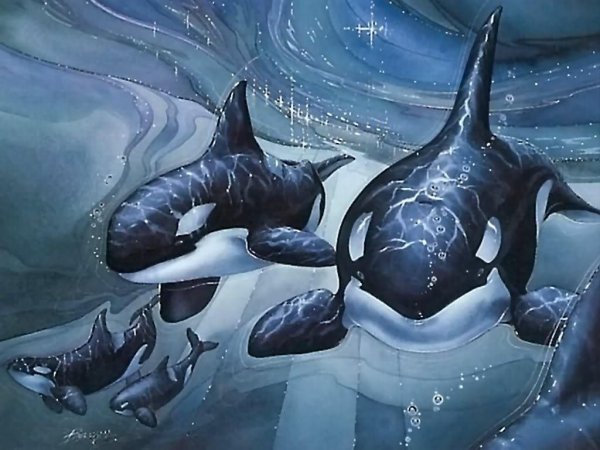 Джоди Бергсма картины косатки