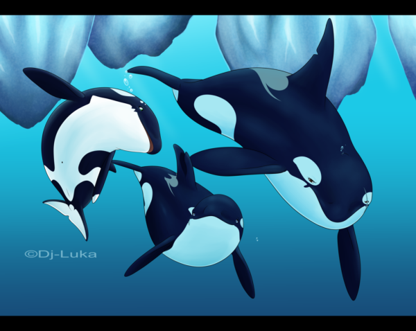 Касатка арт