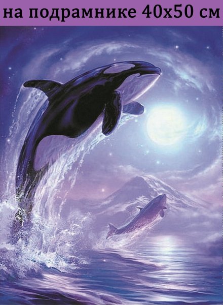 Кит и Касатка и Дельфин