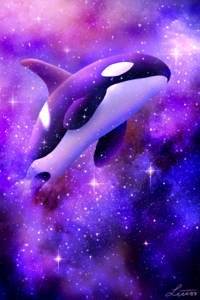 Касатка Созвездие