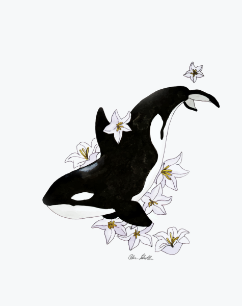 Касатка акварель