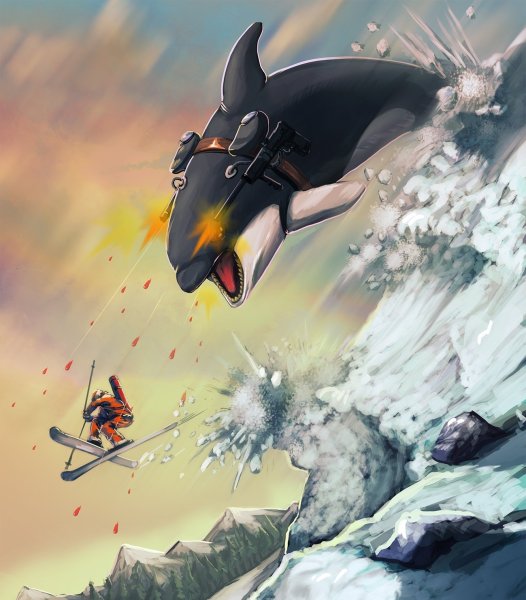 Злая Касатка