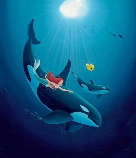 Кит и Касатка и Дельфин