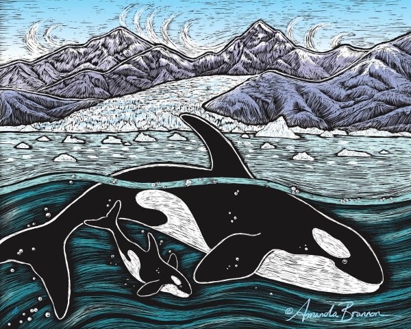 Касатка рисунок