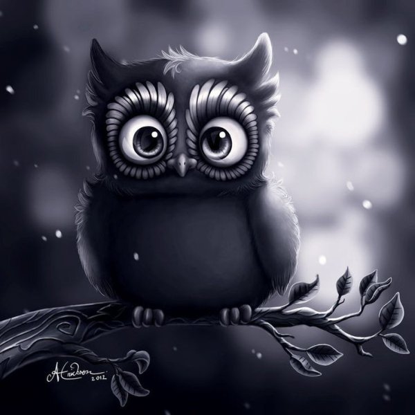 Сова аватар