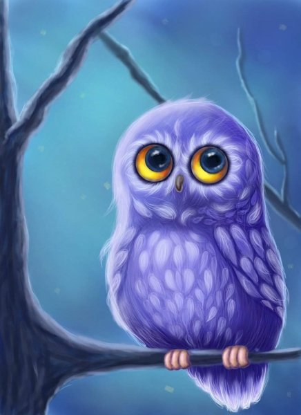 Совы мультяшные