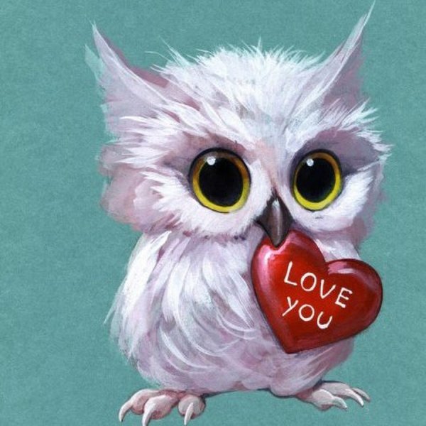 Сова с сердечком