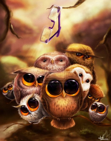 Забавные Совы