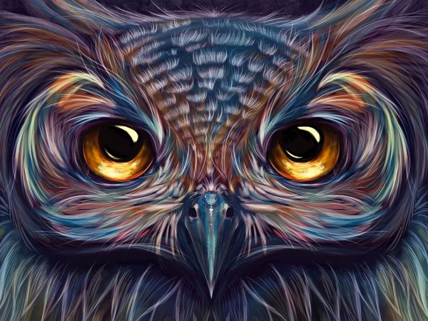 Сова на аву