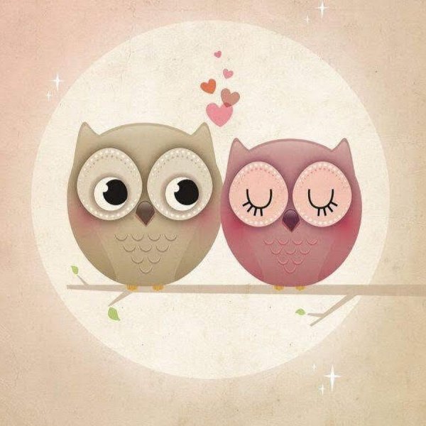 Сова рисунок милый