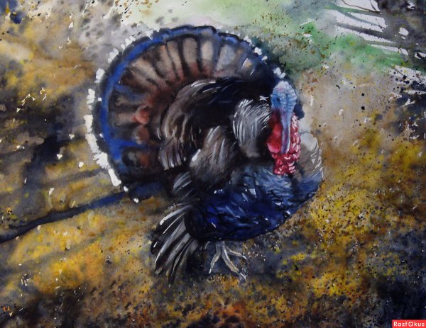 Индюк живопись