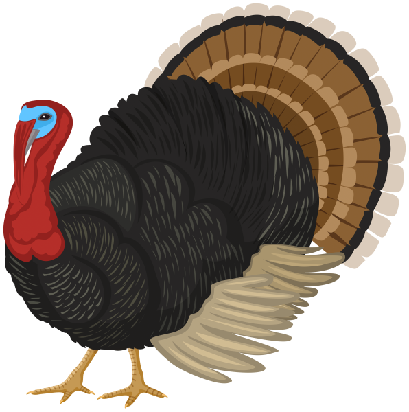 Индюк для дошкольников