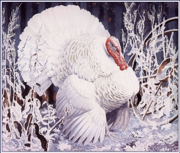 Британский художник-натуралист Чарльз Фредерик Tunnicliffe (1901-1979)