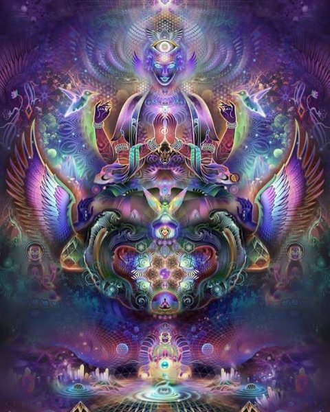 Шакти виженари