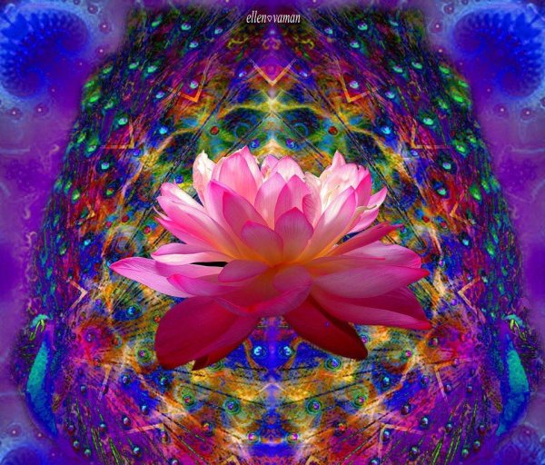 Мандала эзотерика