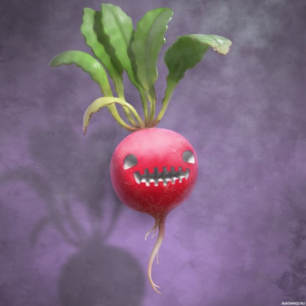 Смешная редиска