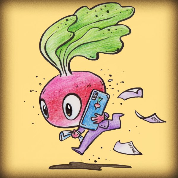 Живая редиска