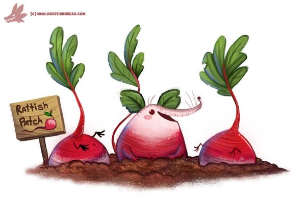 Редиска арт