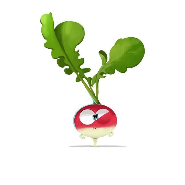 Редиска для детей