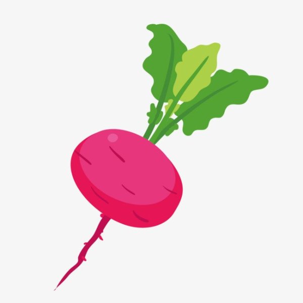 Редиска для детей