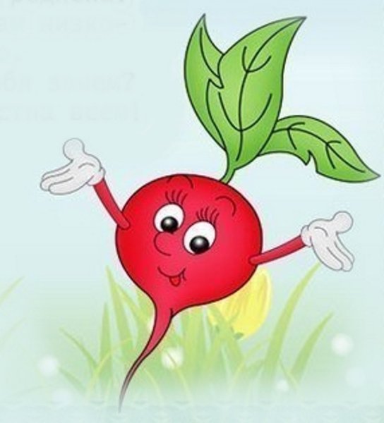 Веселая редиска