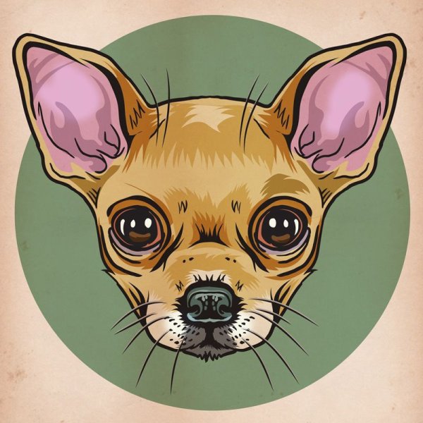 Собачка в мультяшном стиле