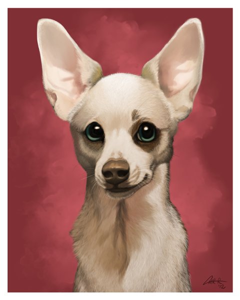 Аниме собака чихуахуа