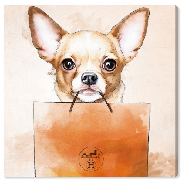 Чихуахуа персонаж