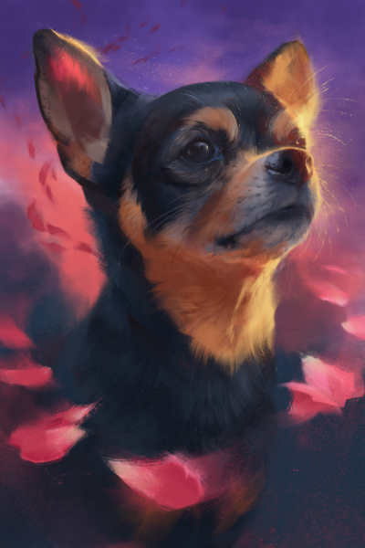 Чихуахуа арт