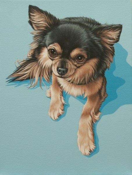 Чихуахуа аниме