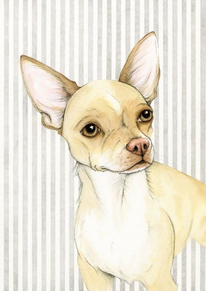 Картины чихуа Хуа