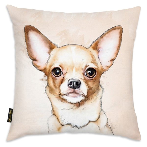 Чихуахуа рисунок