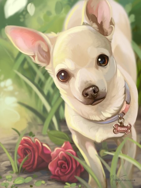 Очень красивая чихуахуа арт
