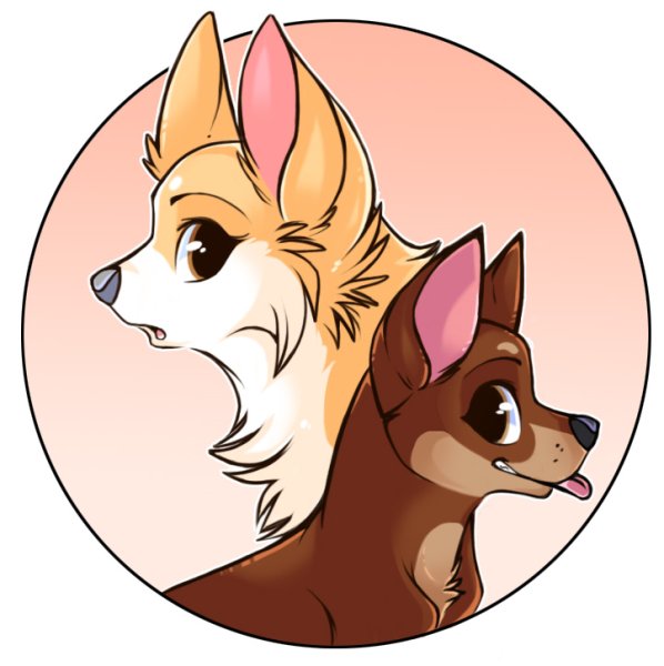 Чихуахуа аниме