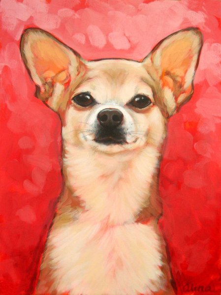 Портрет чихуахуа