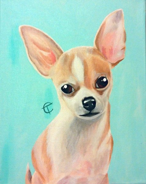 Чихуа красками