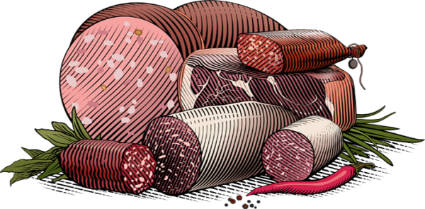 Колбаса иллюстрация