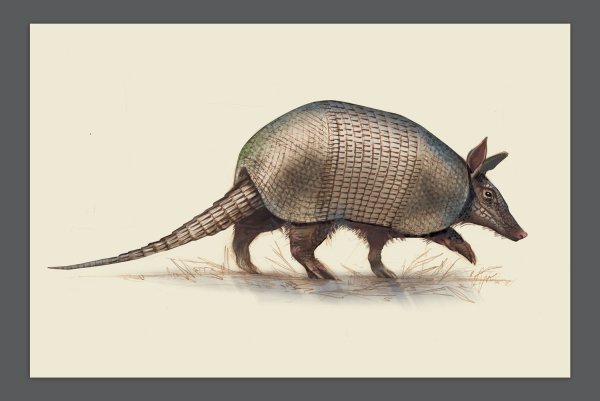 Акибадан броненосец