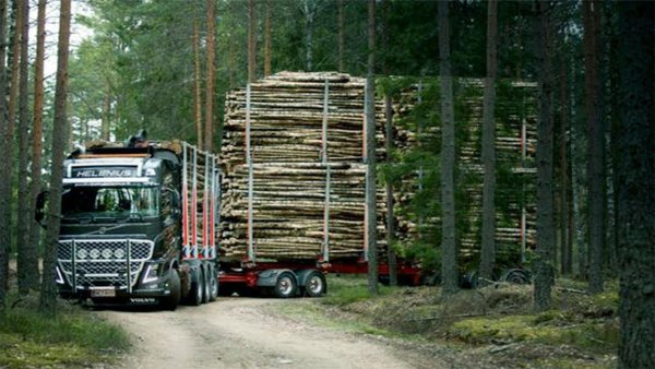 Volvo fh16 сортиментовоз