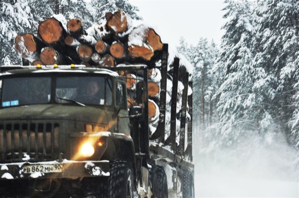 Лесовоз зимой