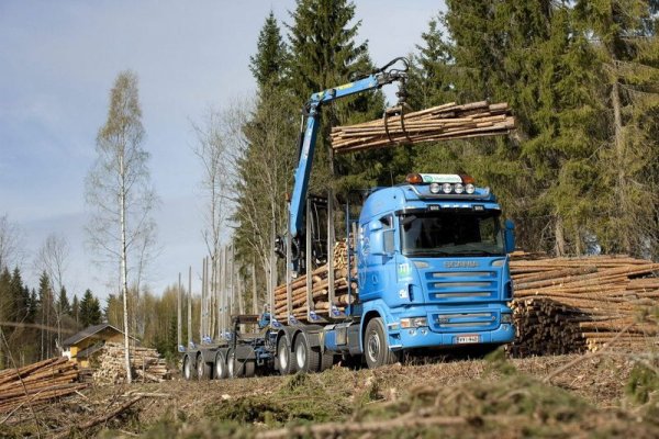 Scania p440 лесовоз