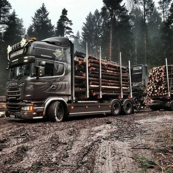 Лесовозы Вольво Мерседес Скания