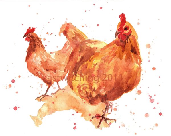 Курица акварелью