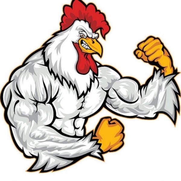 Мускулистая курица