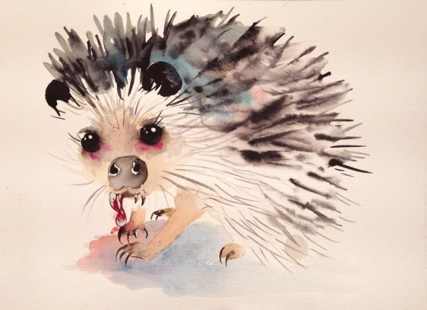 Арт с Ёжиком