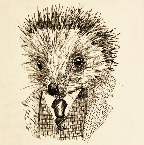Ежик в галстуке