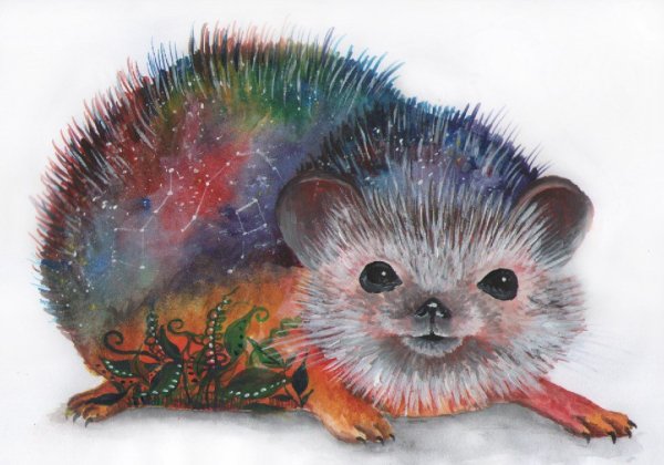 Разноцветные ежики