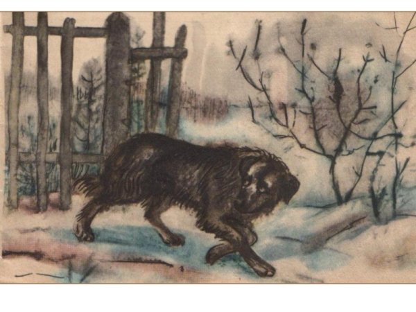 Иллюстрации к рассказу кусака л.н.Андреева