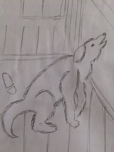 Андреев кусака рисунок к произведению