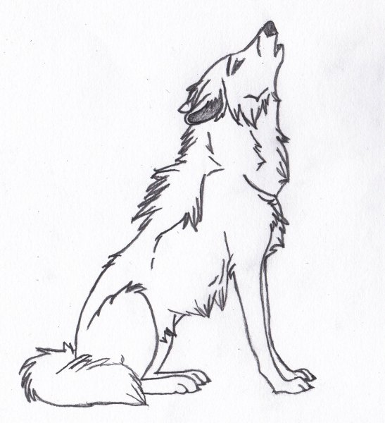 Кусака рисунок карандашом